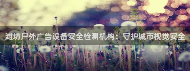 杏宇平台主管