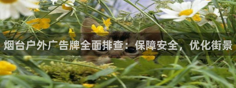 杏宇平台招商
