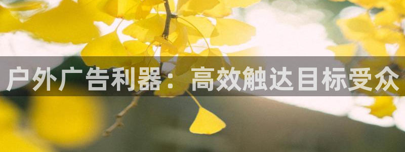 杏宇官方平台官网下载