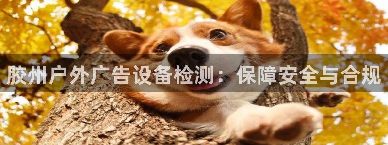 杏宇平台怎么样：胶州户外广告设备检测：保障安全与合规