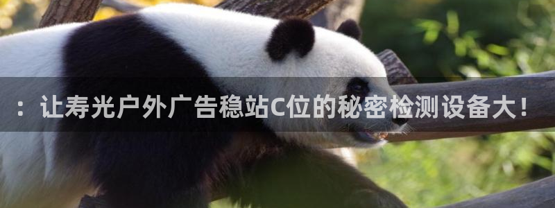 杏宇平台好吗