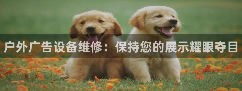 杏宇平台官网注册：户外广告设备维修：保持您的展示耀眼夺目