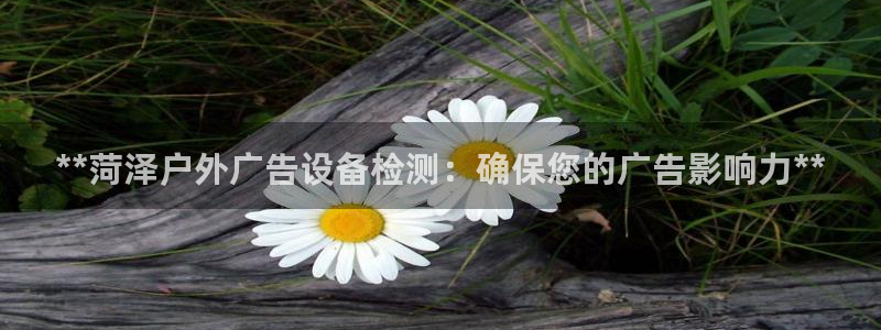 杏宇平台是什么：**菏泽户外广告设备检测：确保您的广告影响力**