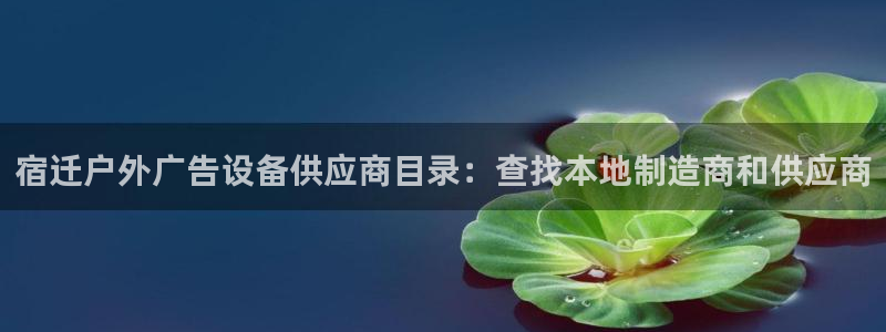 杏宇平台代理