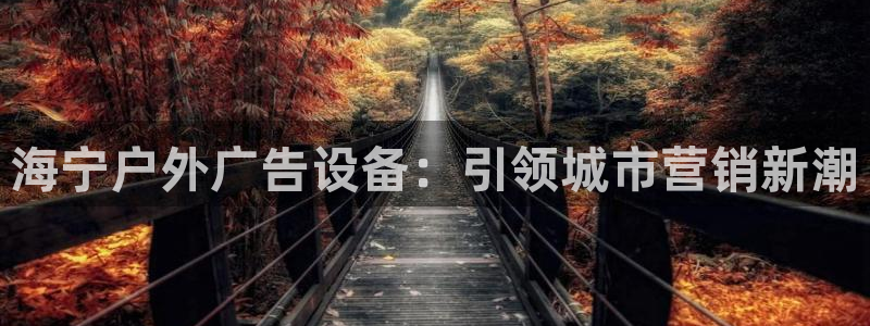 杏宇平台招商怎么样：海宁户外广告设备：引领城市营销新潮