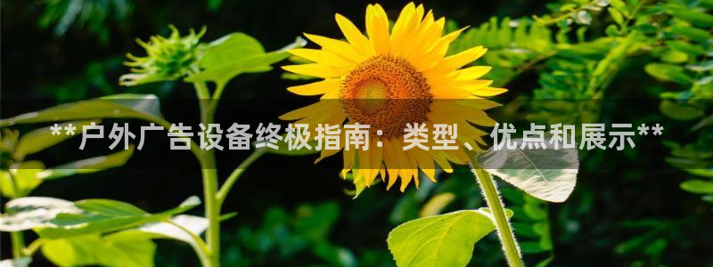 杏宇平台代理多少钱一次