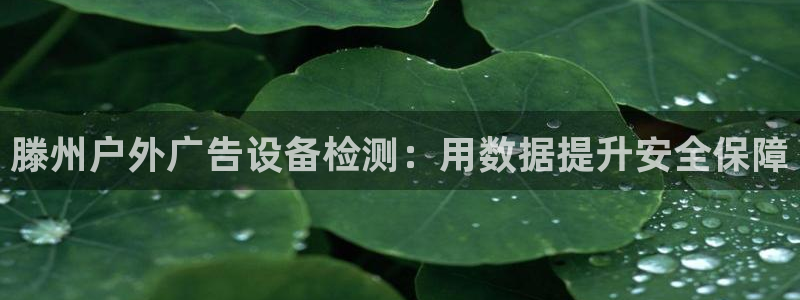 杏宇平台测速链接