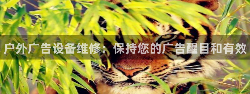 杏宇平台注册地址在哪里