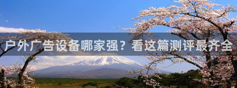 杏宇平台测速链接