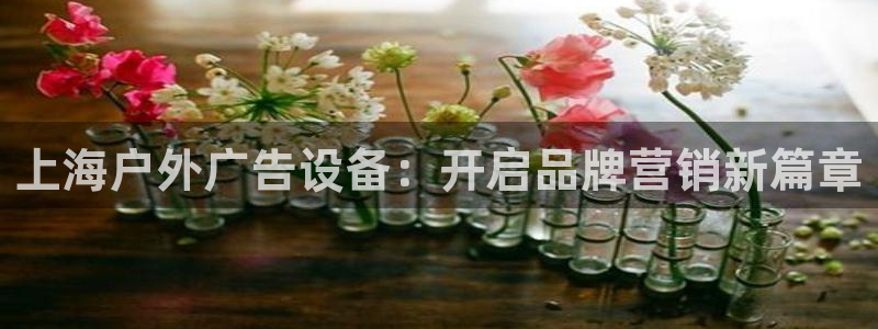 杏宇平台招商