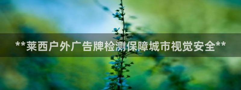 杏宇平台代理怎么样啊