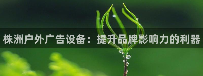 杏宇平台怎么样赚钱