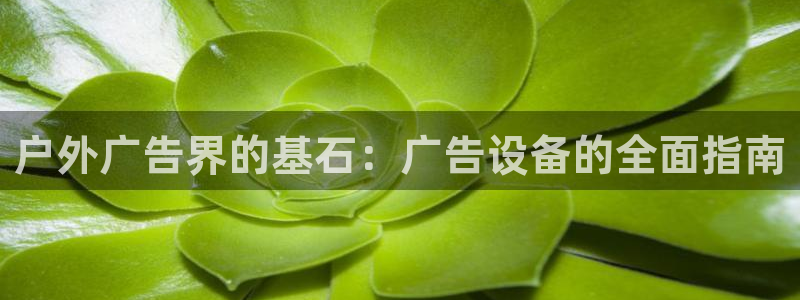 杏宇平台主管
