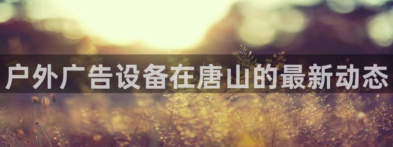 杏宇平台是什么
