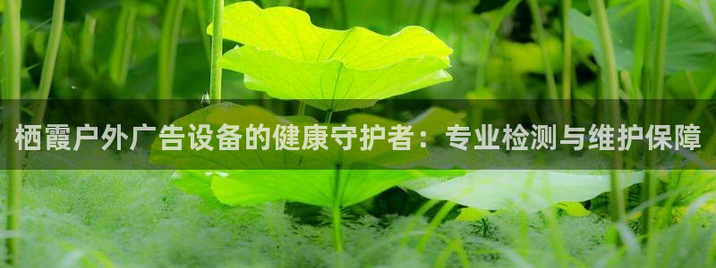 杏宇平台代理怎么赚钱的