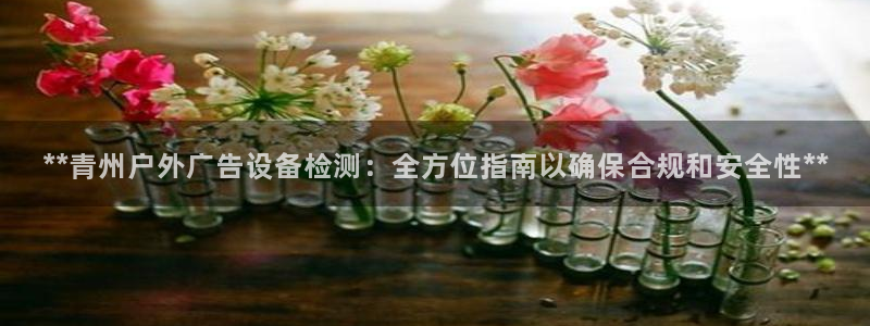 杏宇平台招商怎么样