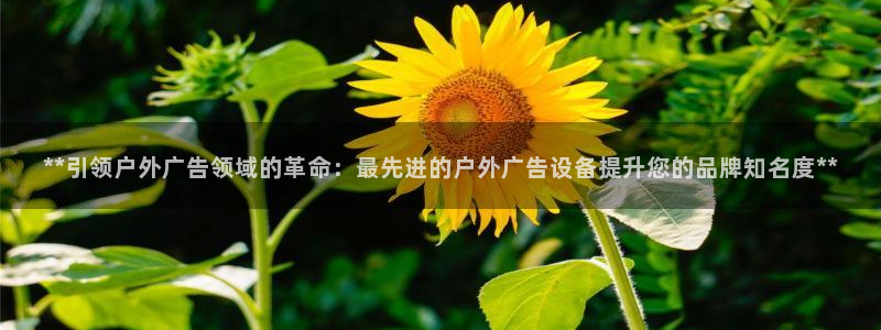 杏宇官方平台官网入口：**引领户外广告领域的革命：最先进的户外广告设备提升您的品牌知名度**