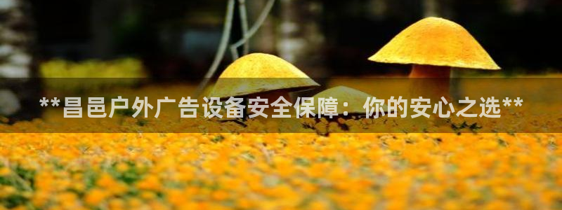 杏宇平台代理多少钱一个
