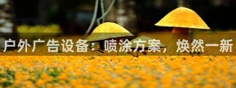 杏宇平台是什么