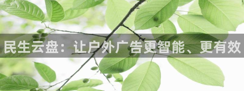 杏宇平台测速链接