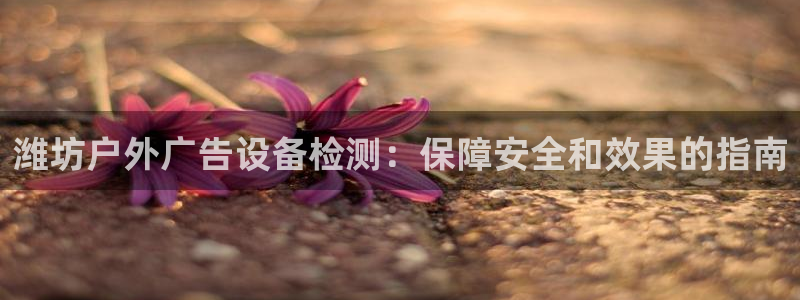 杏宇平台代理怎么样可靠吗：潍坊户外广告设备检测：保障安全和效果的指南