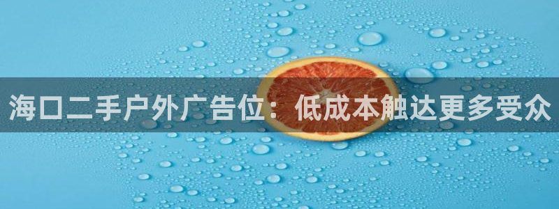 杏宇官方平台官网