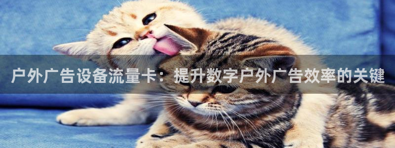 杏宇平台官网注册
