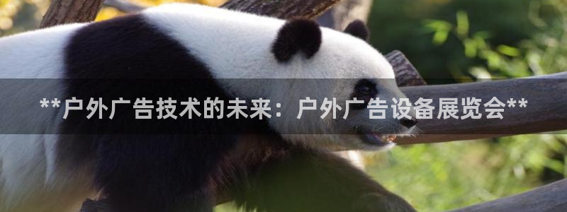 杏宇平台总代理