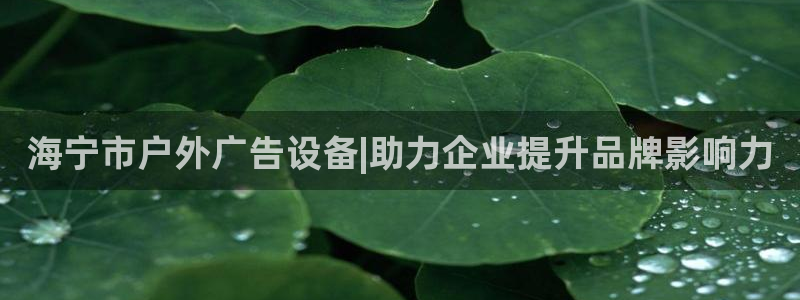 杏宇平台测速链接