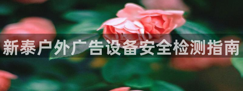 杏宇平台注册登录