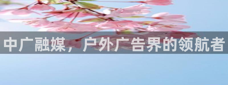 杏宇平台怎么样赚钱