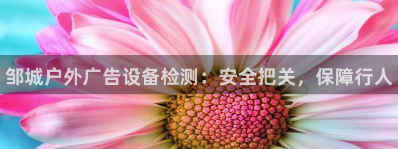 杏宇平台好吗