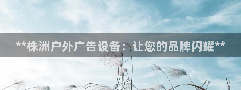 杏宇平台登录方法：**株洲户外广告设备：让您的品牌闪耀**