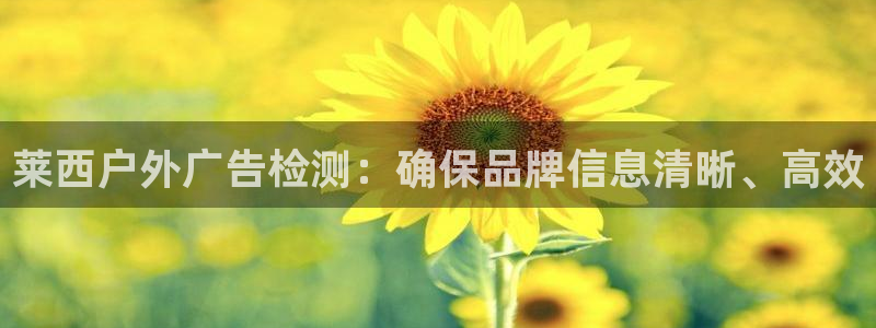 杏宇平台代理