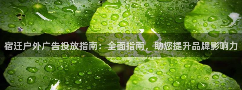 杏宇平台官网注册：宿迁户外广告投放指南：全面指南，助您提升品牌影响力