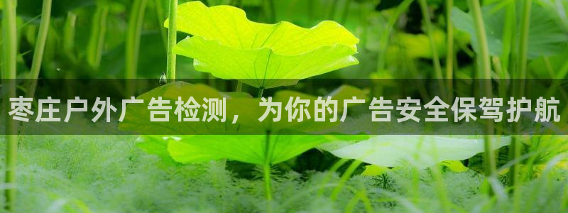 杏宇平台代理怎么样啊