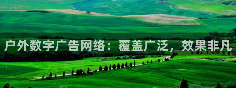 杏宇平台登陆：户外数字广告网络：覆盖广泛，效果非凡