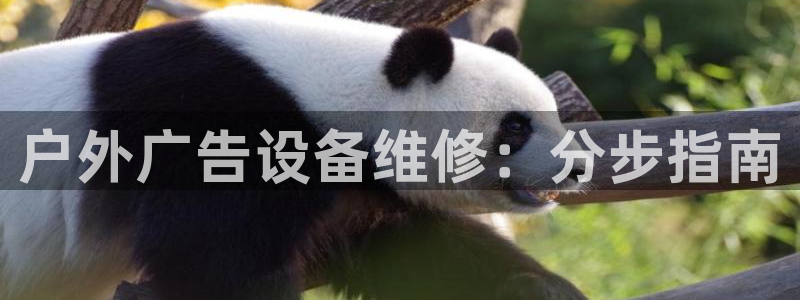 杏宇平台登陆