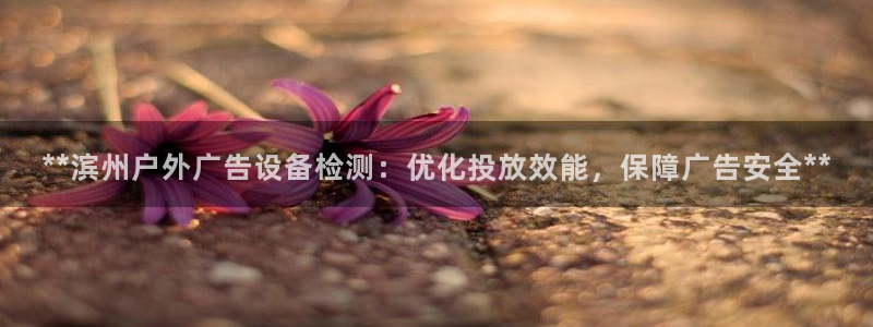 杏宇平台代理怎么赚钱的
