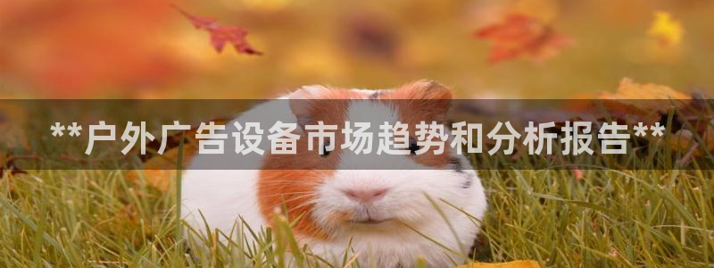 杏宇平台代理怎么赚钱：**户外广告设备市场趋势和分析报告**