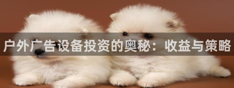 杏宇平台注册登录：户外广告设备投资的奥秘：收益与策略