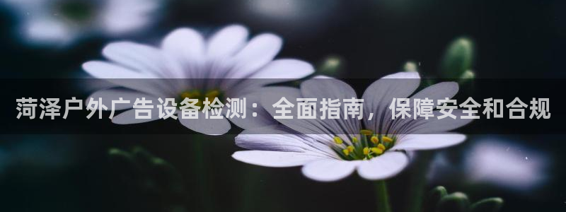 杏宇平台怎么样知乎：菏泽户外广告设备检测：全面指南，保障安全和合规