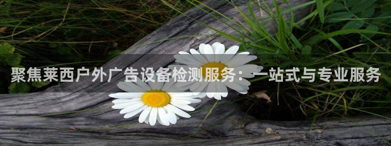 杏宇平台招商怎么样：聚焦莱西户外广告设备检测服务：一站式与专业服务