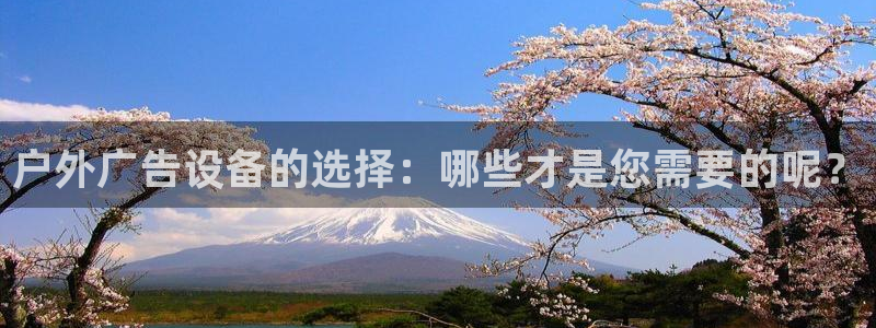 杏宇平台代理