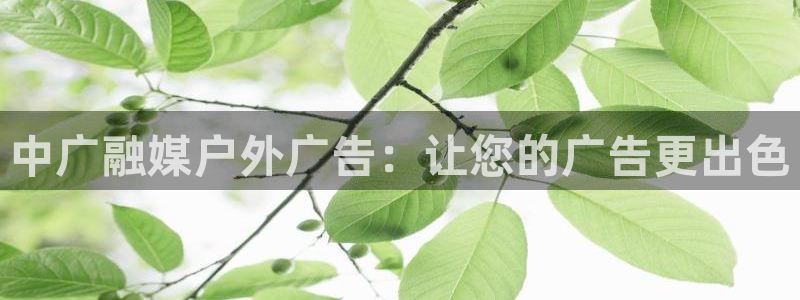 杏宇平台怎么样知乎：中广融媒户外广告：让您的广告更出色
