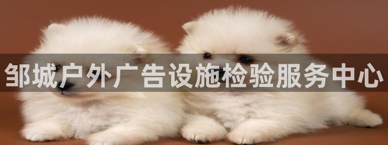 杏宇平台测速链接：邹城户外广告设施检验服务中心