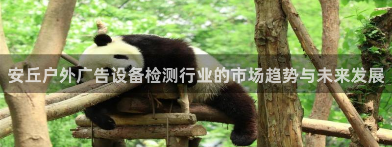 杏宇平台登录方法：安丘户外广告设备检测行业的市场趋势与未来发展