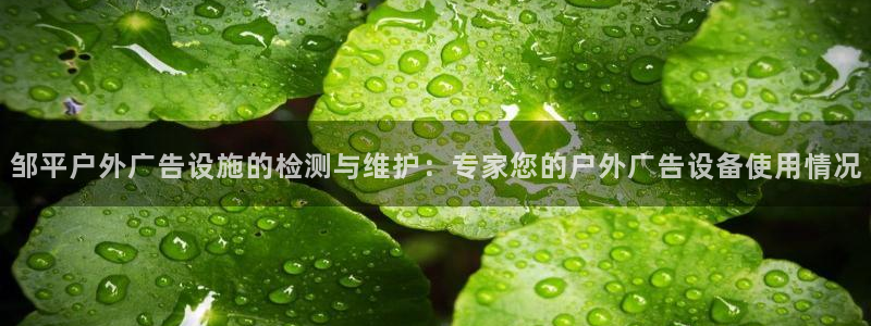 杏宇平台提现为什么这么久呢：邹平户外广告