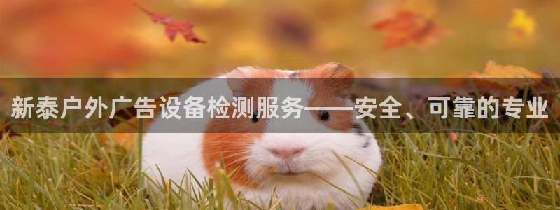 杏宇平台代理怎么样：新泰户外广告设备检测服务——安全、可靠的专业