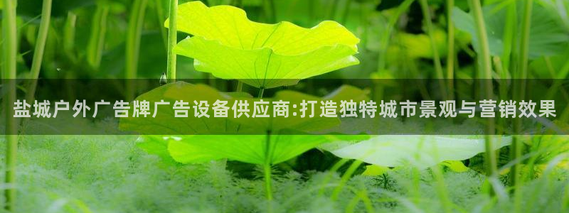 杏宇平台代理怎么赚钱：盐城户外广告牌广告设备供应商:打造独特城市景观与营销效果